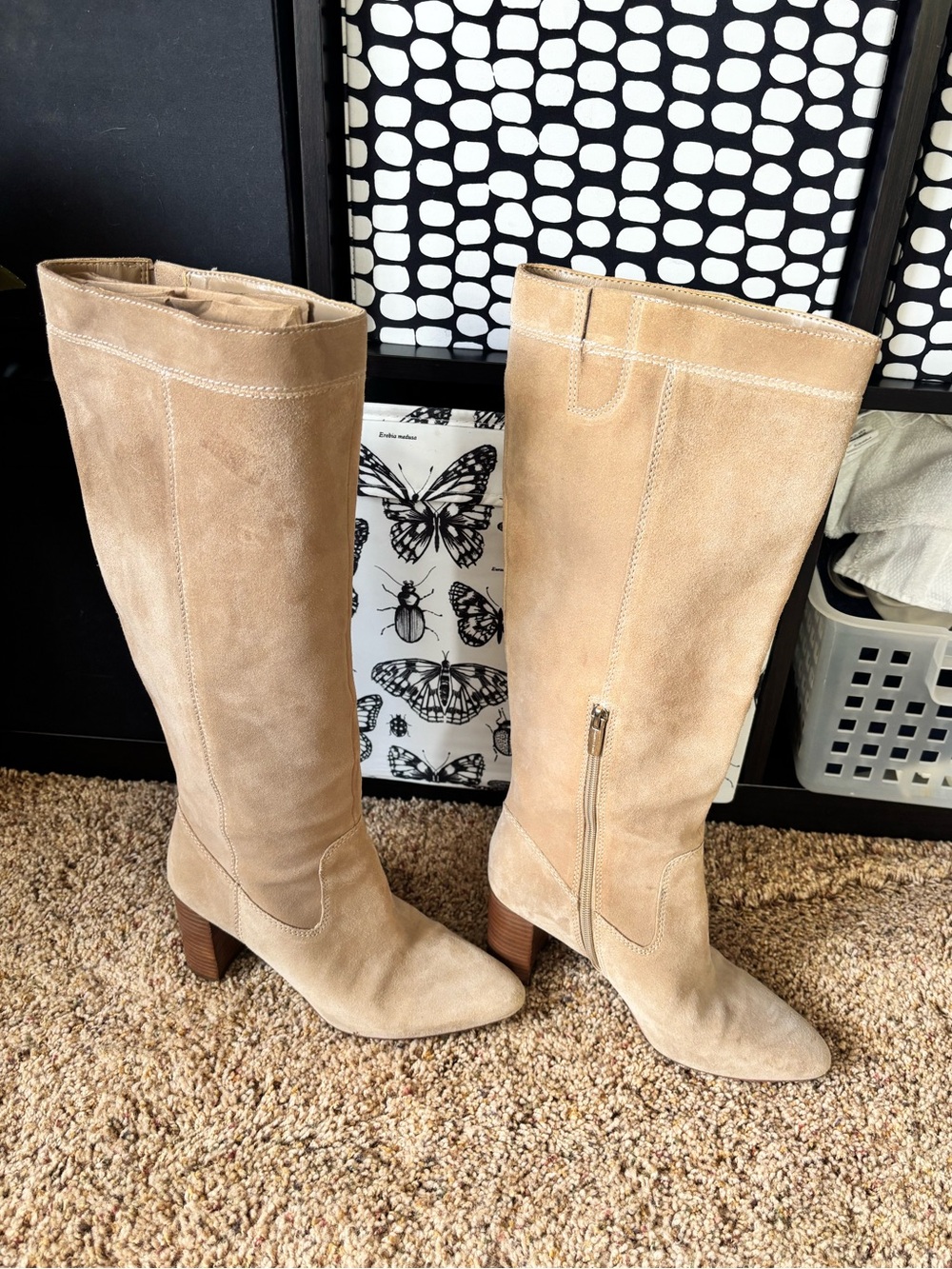 Knee-High Suede Boots